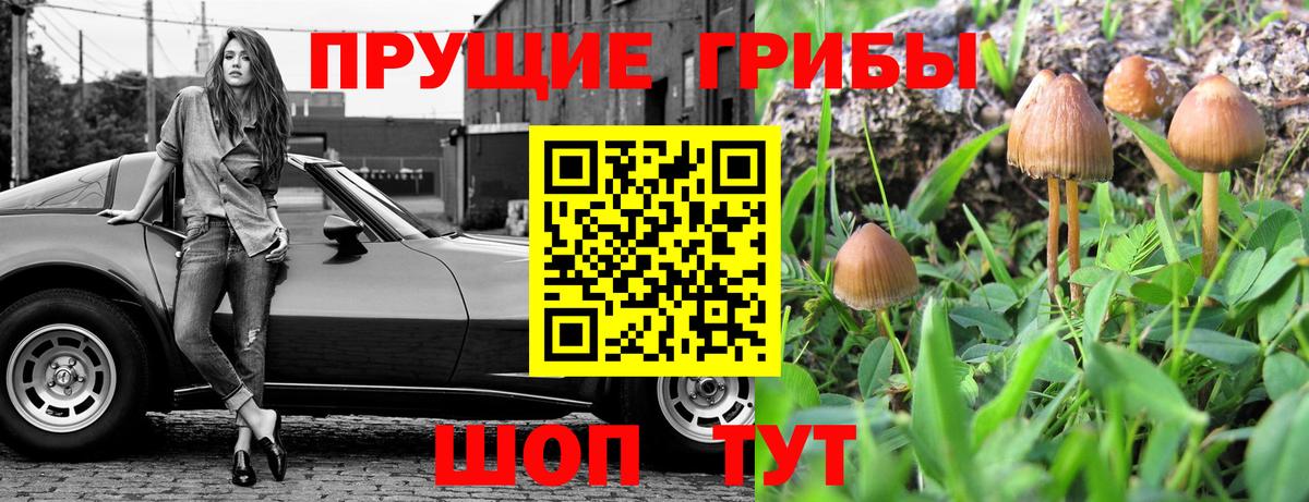 Минусинск  продажа наркотиков  Вход с VPN  Галлюциногенные грибы Cubensis 